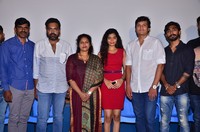 Nenu Kidnap Ayya Movie Success Meet Stills